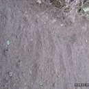 도움농장 이미지