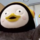 레드포스 PC 아레나 강남점 이미지