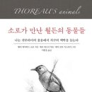 소로 소로 이미지