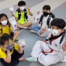 청출어람태권도 이미지