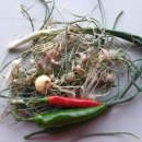 노달래농장 이미지