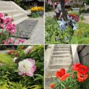 진천종합버스터미널 이미지