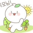 like noon 정오처럼 이미지