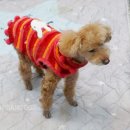 어반독스 이미지