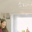 인디플러스 이미지