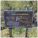 제주로국제여행사 이미지