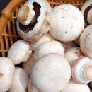 부여하늘농장 이미지