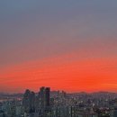 양식당더램키친 - 강남구 압구정로8길 5 | 가로수길 맛집 양식당더램키친 | 수요미식회 압구정 양갈비 솔직 후기