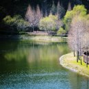 송이용소 이미지