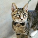 마음더하기의원 이미지