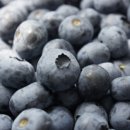 영걸농장 이미지