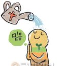 쿠에