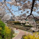 노원교길 이미지