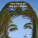 영이 가게 이미지