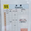 천운카써비스 | 일본 이시가키 혼자 9박 10일 버스+렌터카 여행