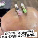 파마세상