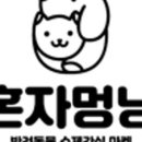 혼자멍냥 이미지