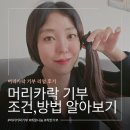 GS25 포천한우리점 | 어머나운동본부 주소, 머리카락 기부 조건과 보내는 방법 후기