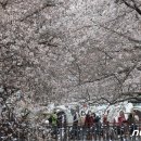 진해구 ⓒ-24 이미지