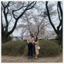 오늘도 참 예쁘다 이미지