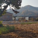 노래1리경로당 이미지