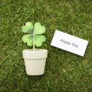 밝은 체육관 이미지