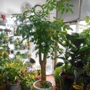 오라고호텔 이미지