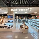 둔산이마트 이미지