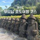 제주도 부모님 효도여행 일정 정리
