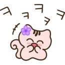 감나무집별미 이미지