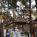 김포평화누리길 2코스 | [경기도 김포시] 평화누리길 2코스, 조강철책길 걷기