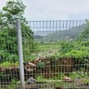 강나루캠핑야영장 이미지