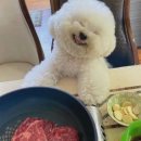 맑은 동물병원 이미지