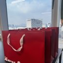 개 키우는 언니 | 명절에 성수 핫플레이스 다녀온 후기 +12시간 이상 일까지 ,,, 정신없던 명절 연휴 일상