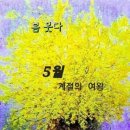 카세트커피