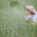 대구대로L 이미지