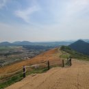 트레이닝팜트리 이미지