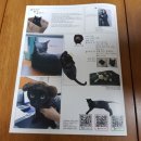 신부카센타