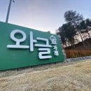 신나는 놀이체육(6세, 2019년생) | 체험 필수 코스! 고성 어린이 서핑 위너서프 초등 서핑 강습과 고성군 초등학교 놀이예술 강사과정 모집