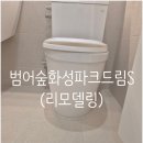 비산화성파크드림 | 범어숲화성파크드림S 줄눈시공후기(리모델링)