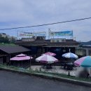 은행나무길국수집 | 아산 은행나무길 맛집 은행나무길 국수집 시원한 냉국수 추천