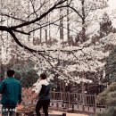 금호로 이미지