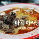 등비룡탕절대부 이미지