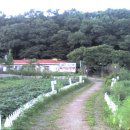 남산뜰순두부 이미지