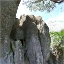 신월교(공원) | 괴산 낙영산 - 조봉산