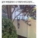 스카이젠학원