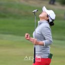 앨엔피코스메틱