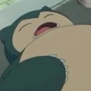 숲속의강아지 이미지