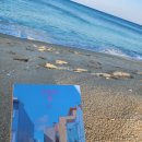 해변의 꿈 이미지