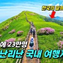 4일 만에 23만 명이 몰린, 지금 대한민국에서 가장 핫한 여행지! 한국의 알프스 소백산, 소백산 철쭉 | 여름 등산복 추천(with 이미지